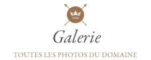 Galerie - toutes les photos d'aubigny