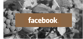 Facebook, Suivez nous - Aubigny