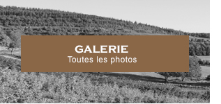 Galerie - Toutes les photos - Aubigny