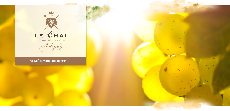 Le Chai - Aubigny - Domaine viticole